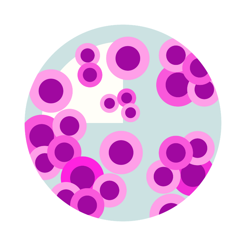 leveduras