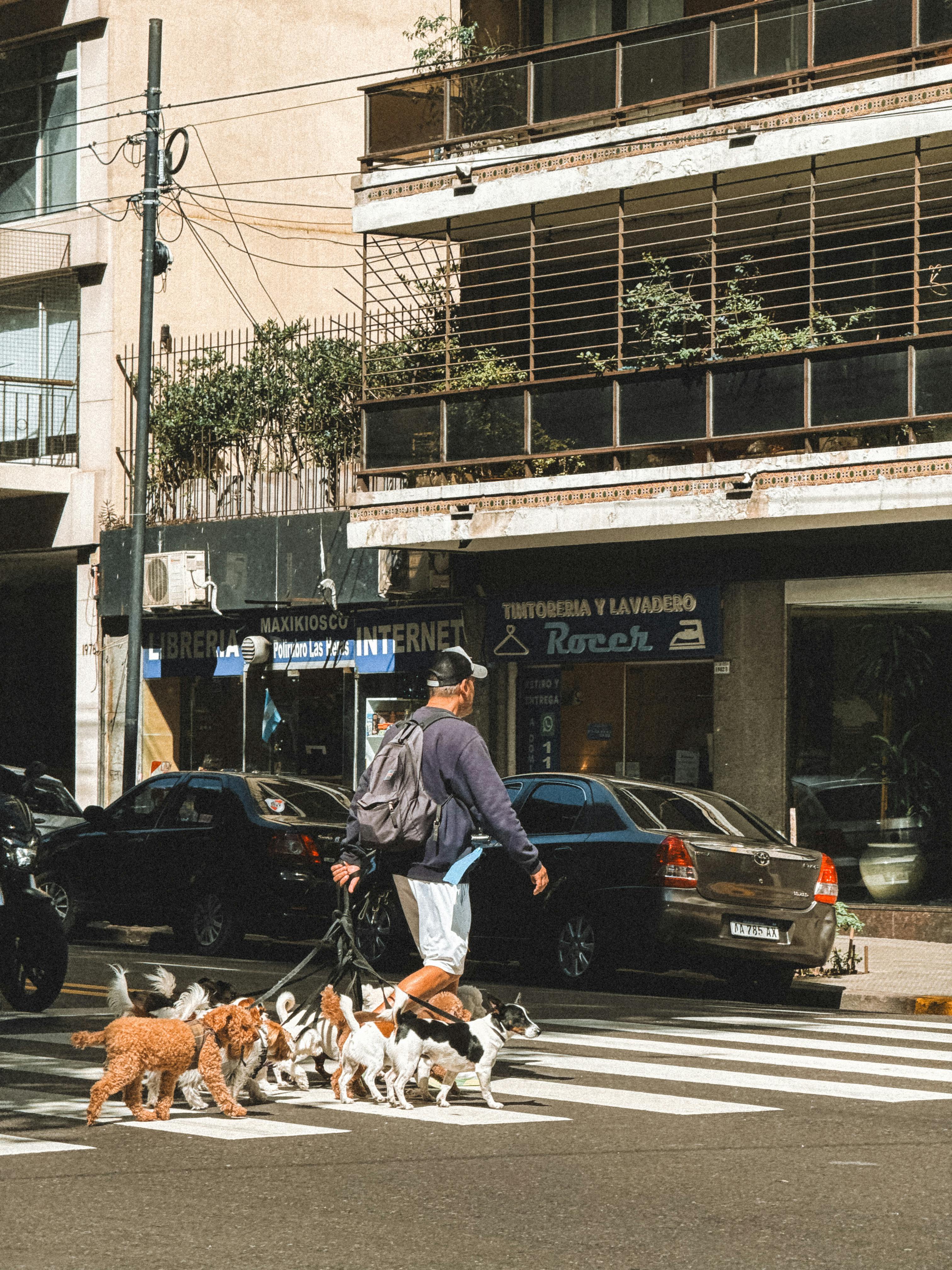 pexels-marina-zvada-844583049-27219052