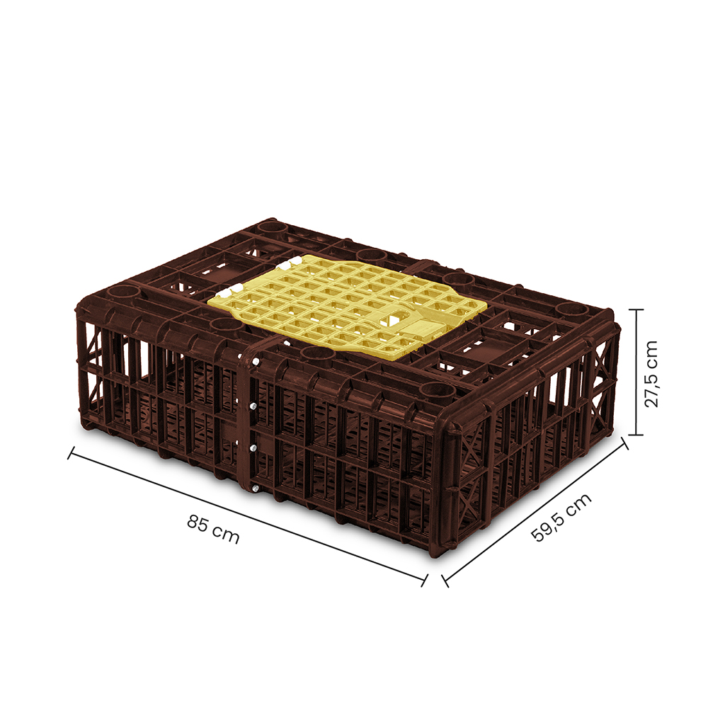 TransportePolloVivos_1