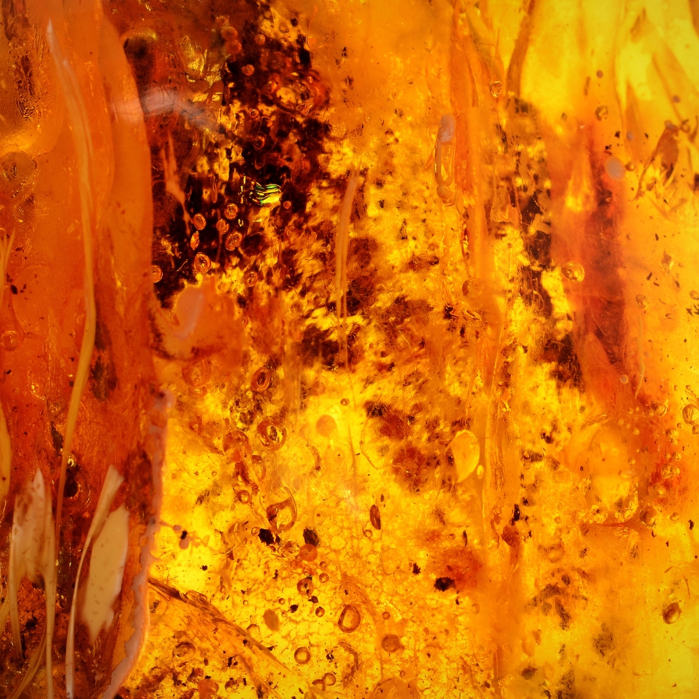 AMBER