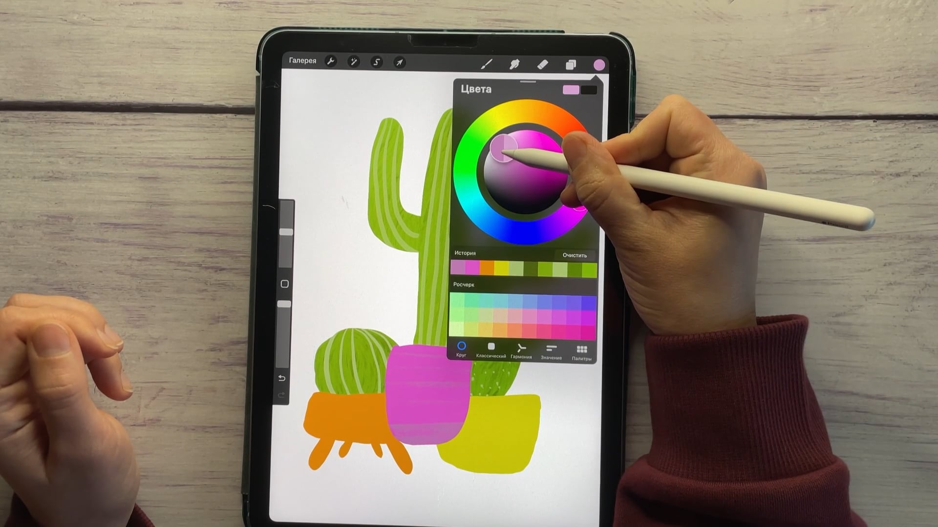 Cacti_Procreate_Thumbnail