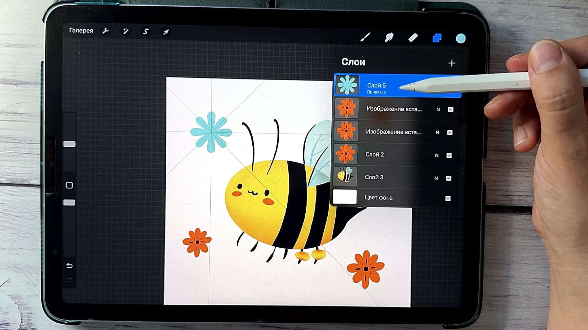 Bee_Drawing_Symmetry_Transparency