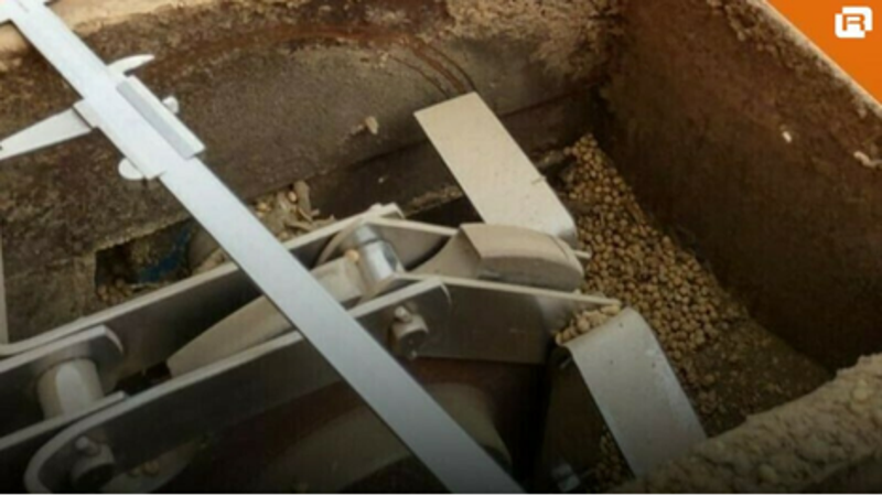 imagem_redimensionada_2