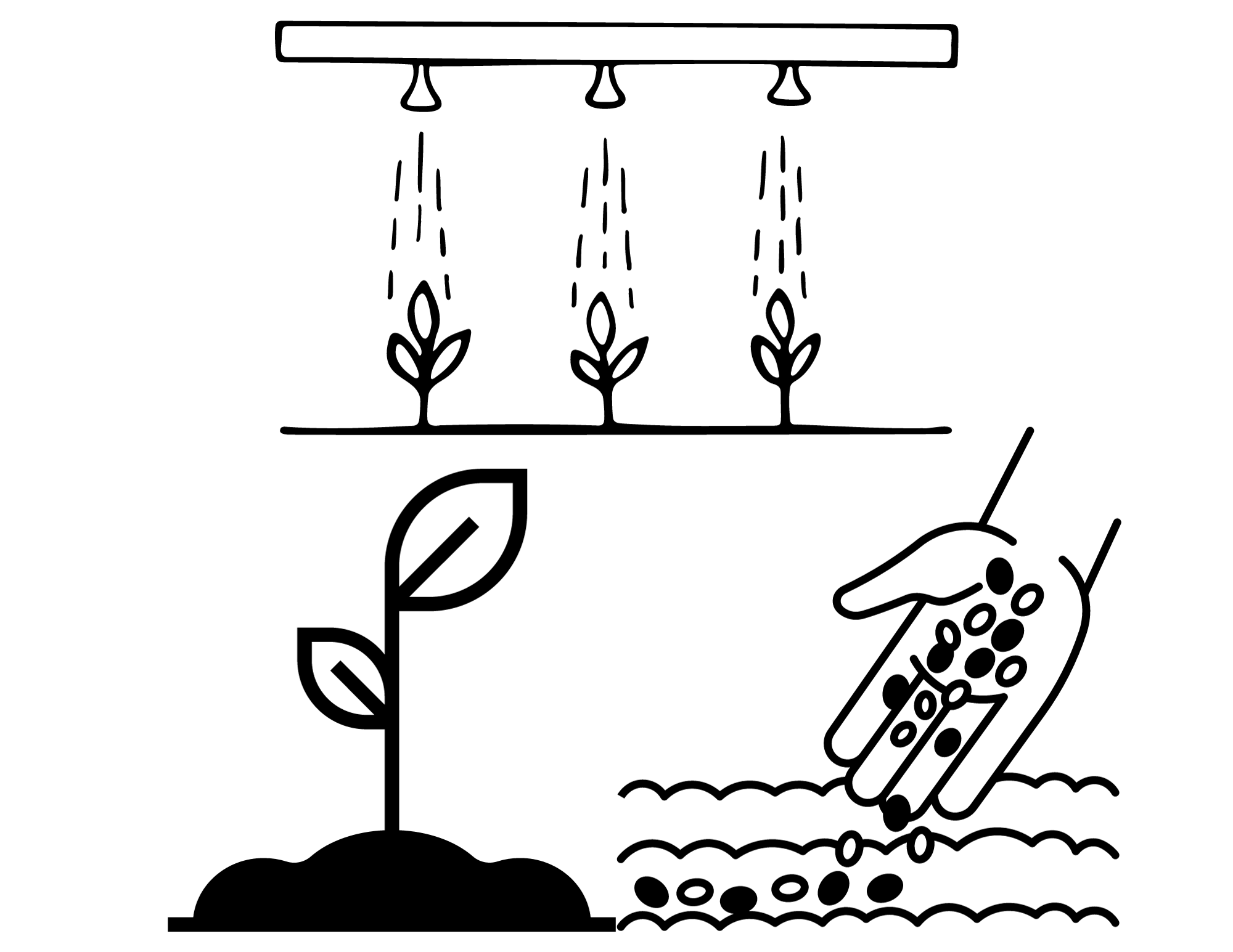 Brochure_Informativo_INJAUS