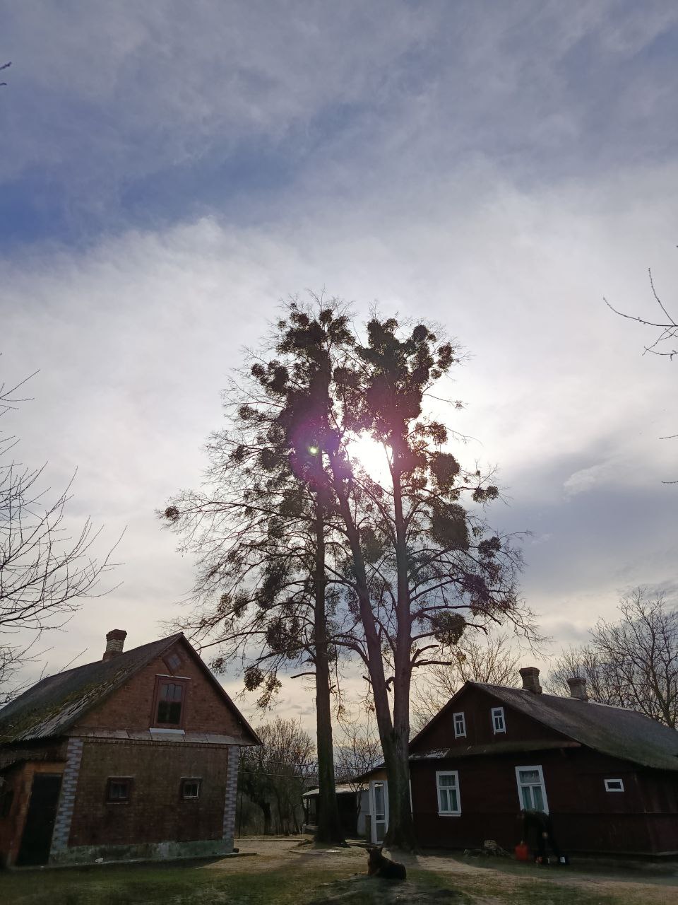 photo_2025-07-03_17-03-14