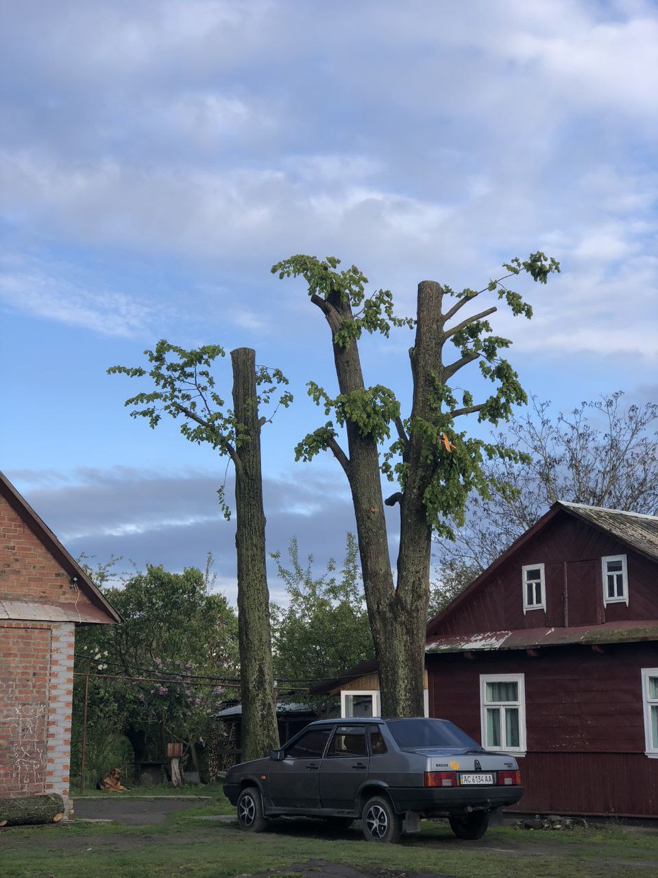 photo_2025-07-03_17-04-42