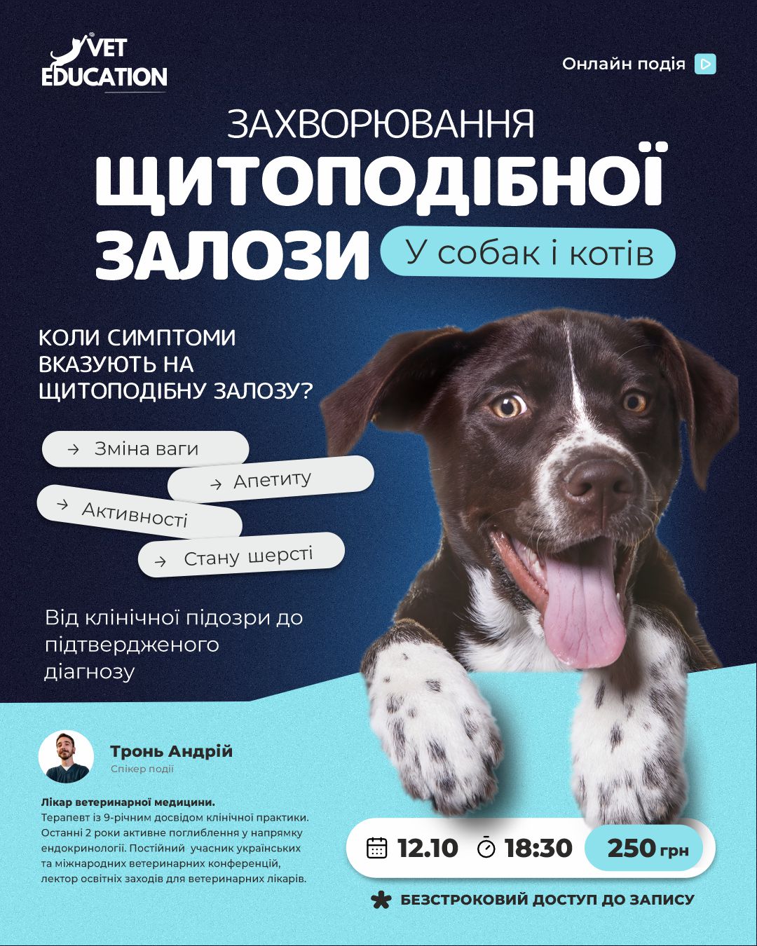 12.10вет
