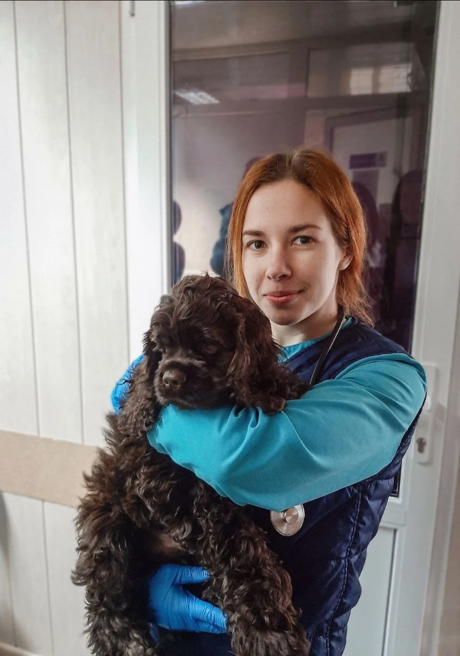 жиженко
