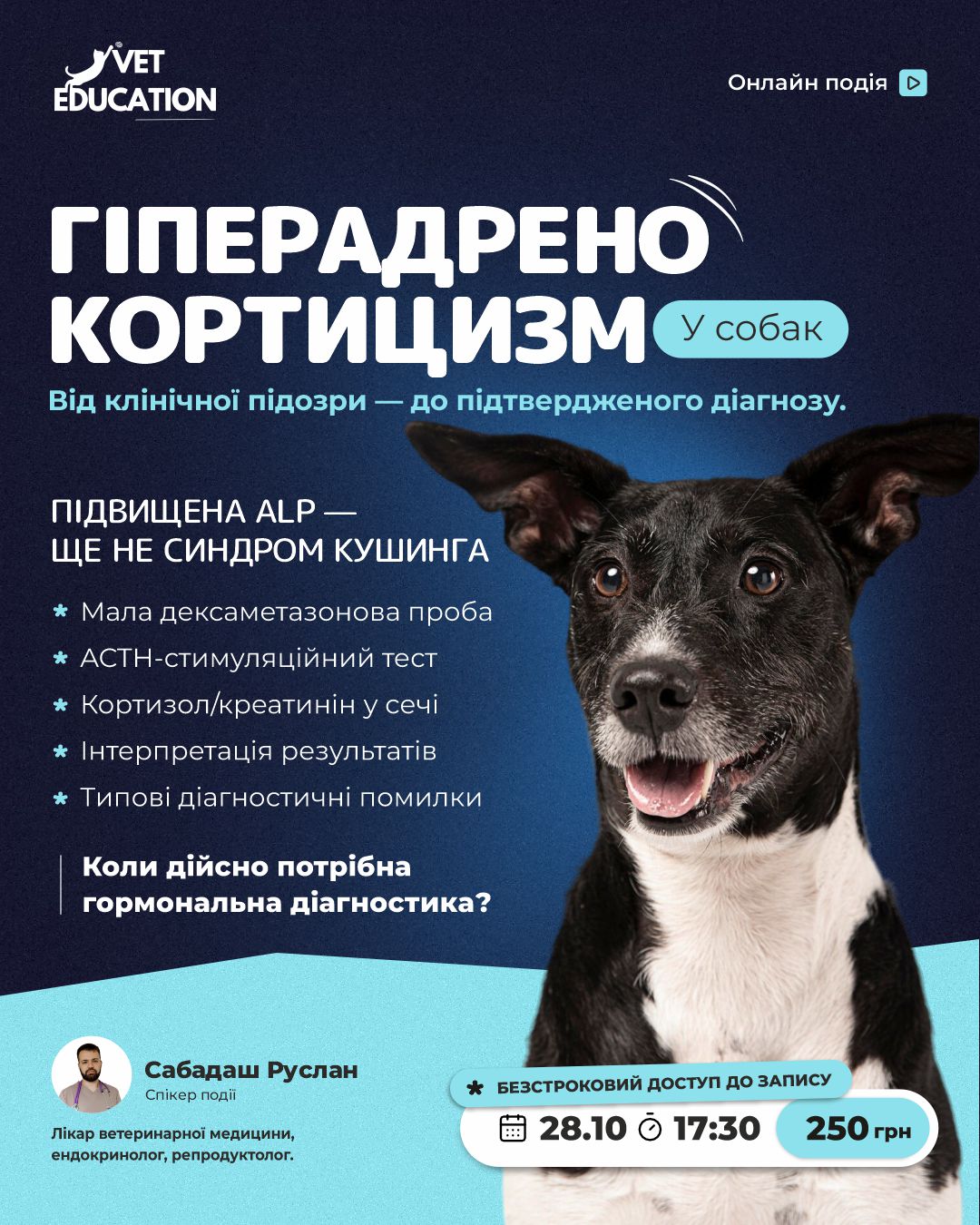 2810гіпер