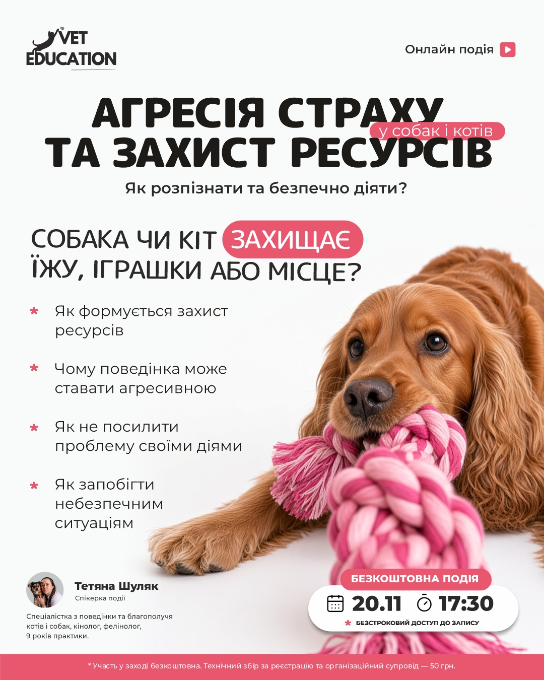 2011вет