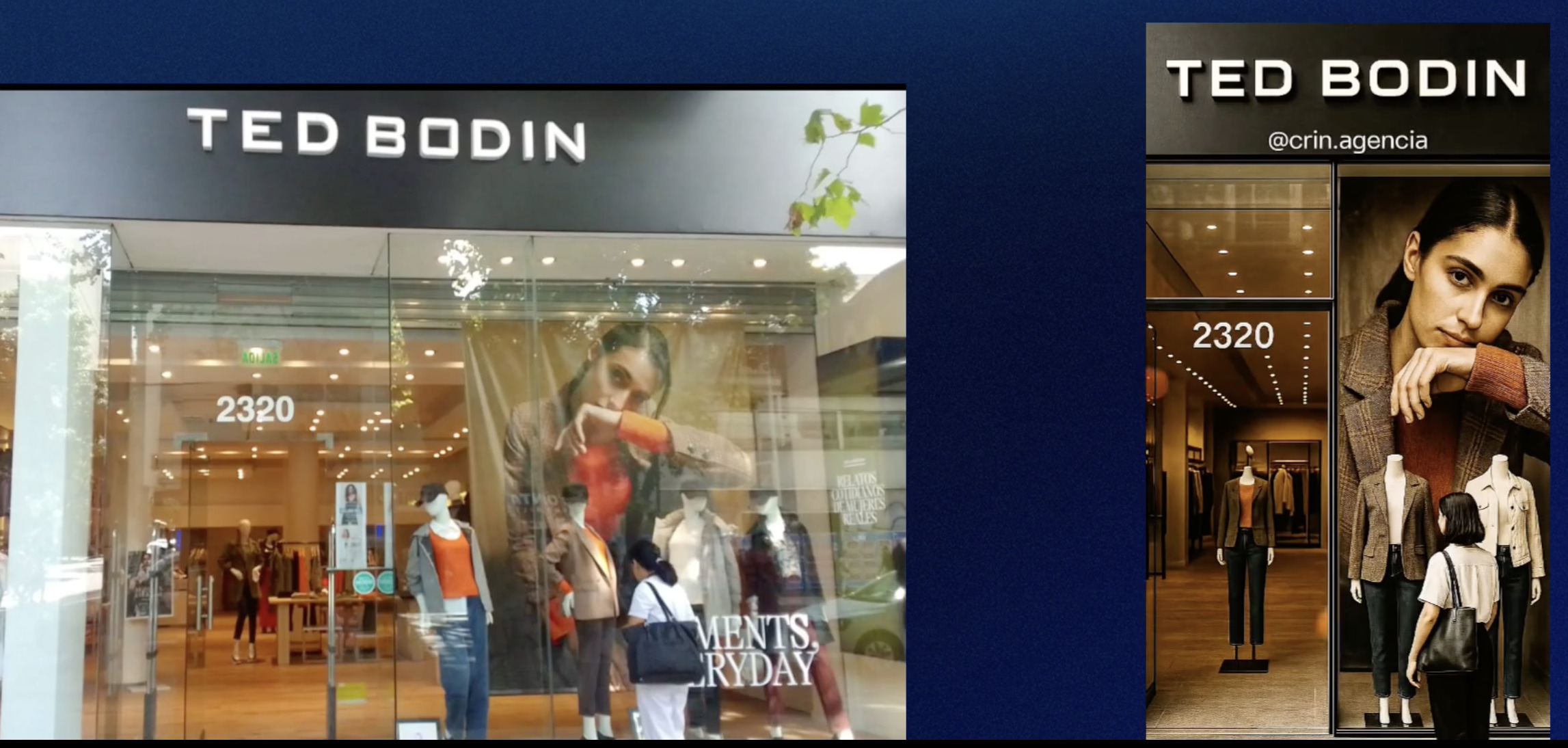 Tedbodin