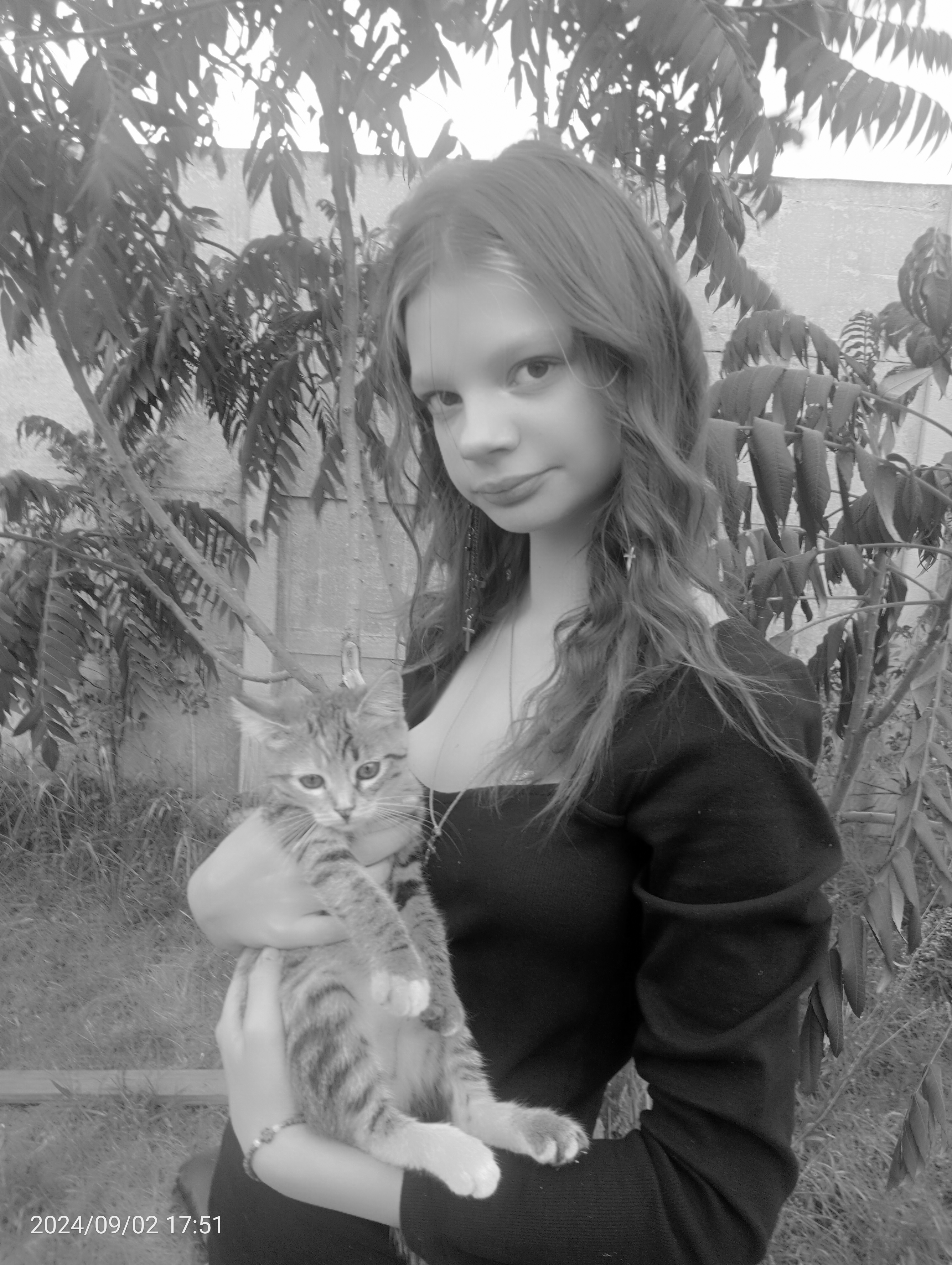 IMG20240902175144_-_