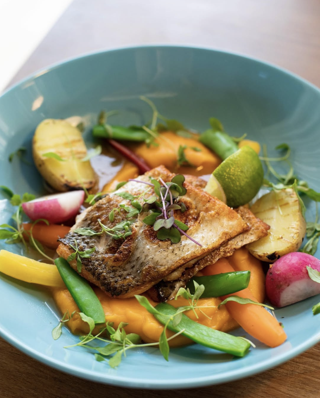 Captura_de_Tela_2025-04-06_s_08_35_04