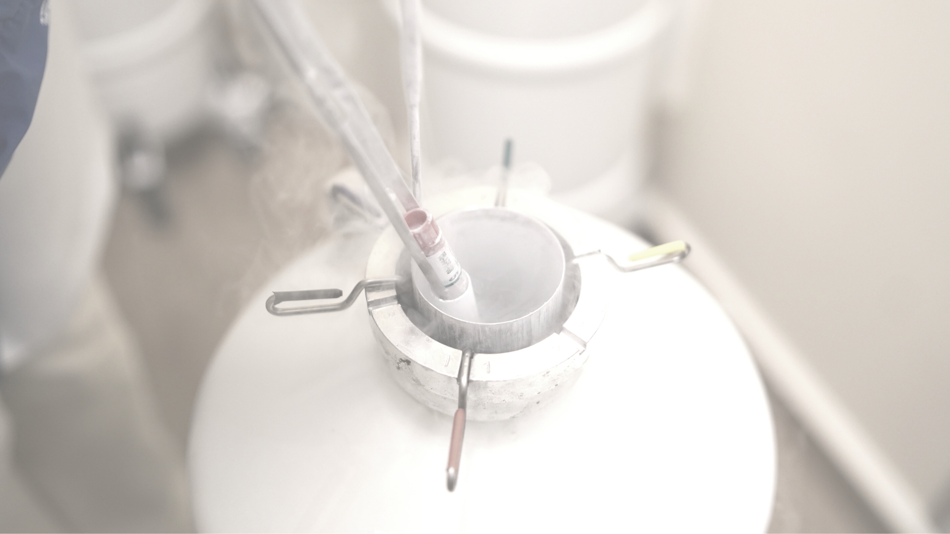 banco_de_semen_internacional_site