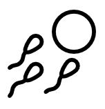 Screenshot_2025-03-16_at_18_11_09