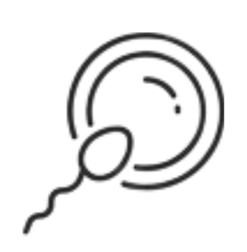 fiv-fotor-bg-remover-20230703102325