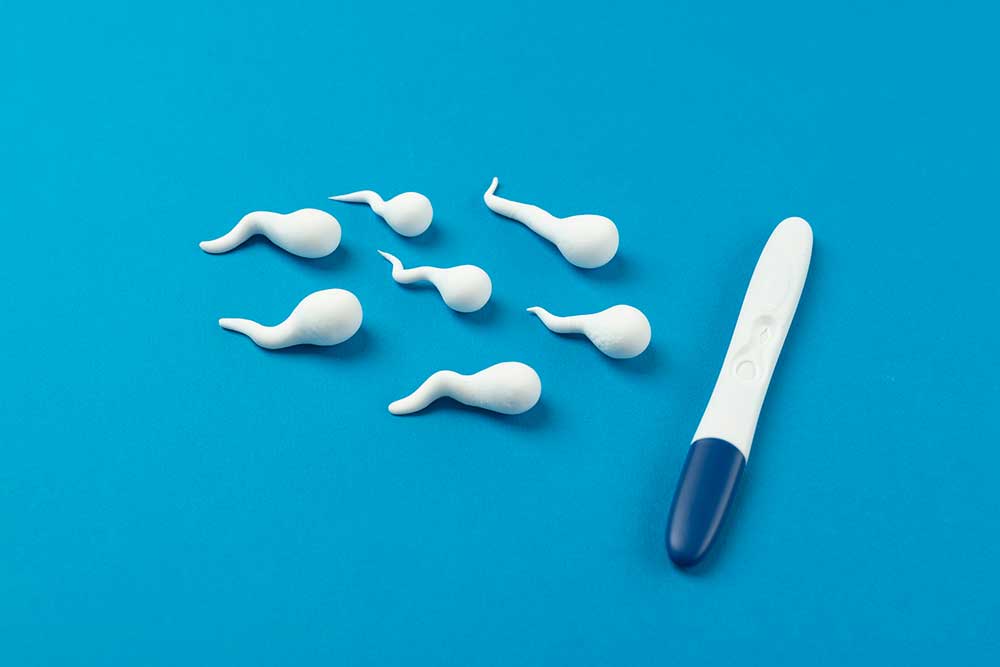 pregnancy-test-still-life-arrangement