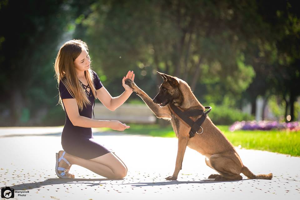 39583873_1833391656741017_8074055521637761024_n