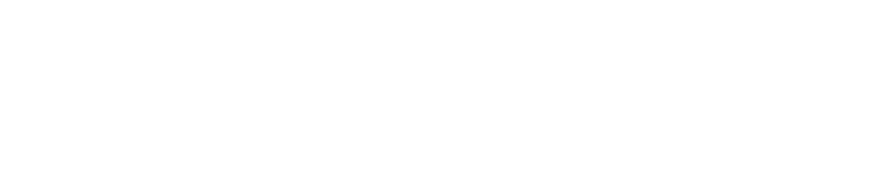 logo-white-transparent.png