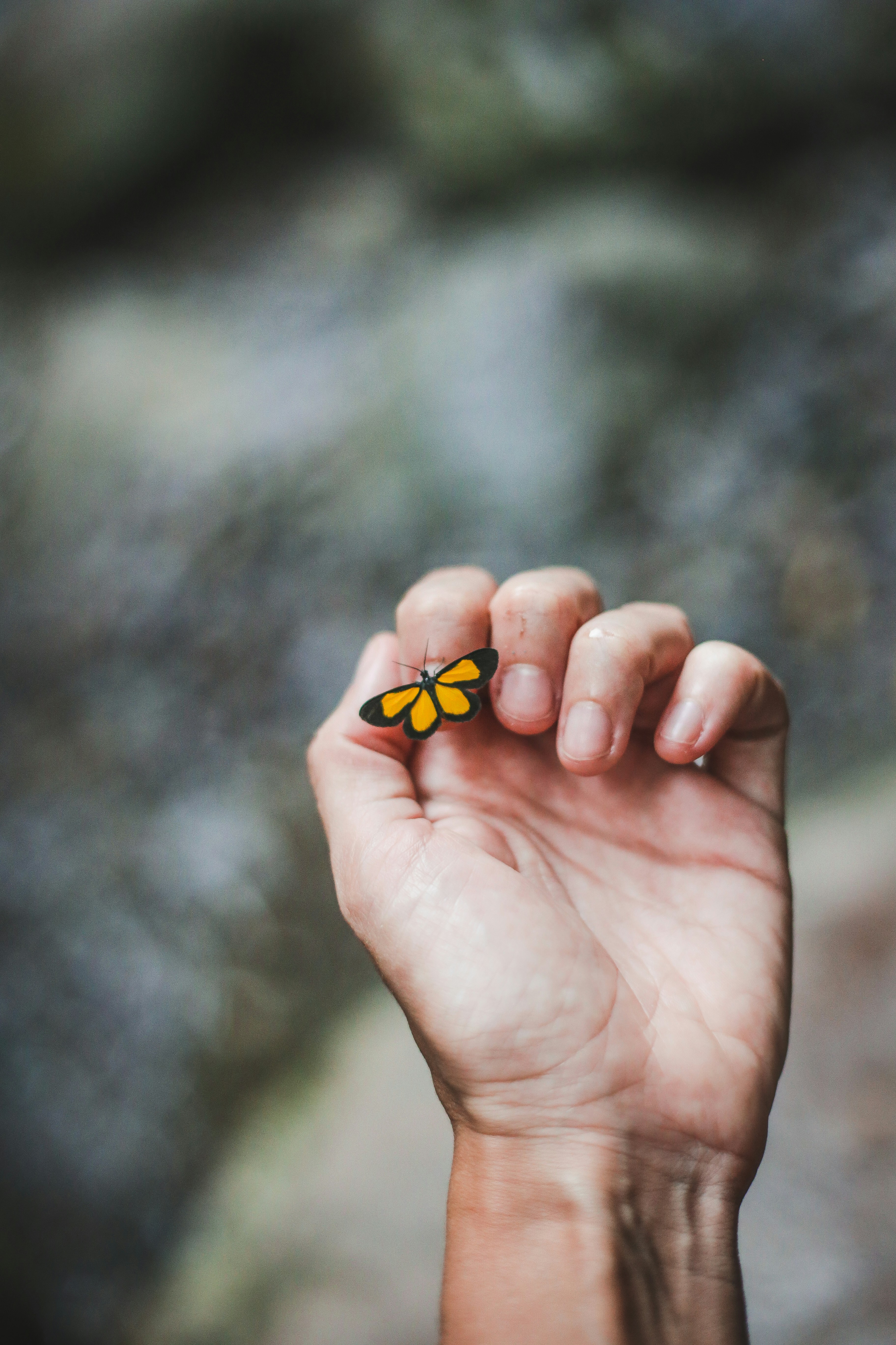 rosario-janza-dKxY8ywc_0c-unsplash