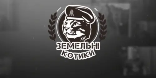 kotiki