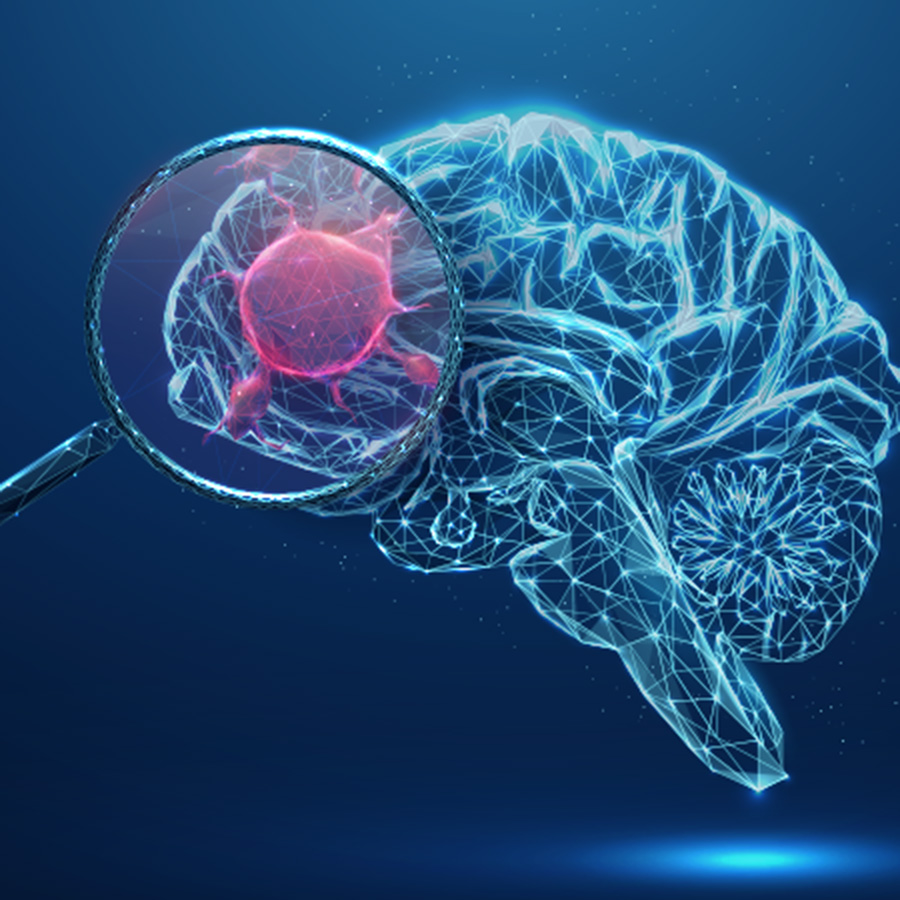 well-longevity-brain-guard-hero2x
