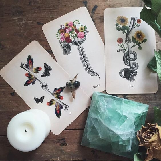 6d29869feabfffa98b1ead772b329fba