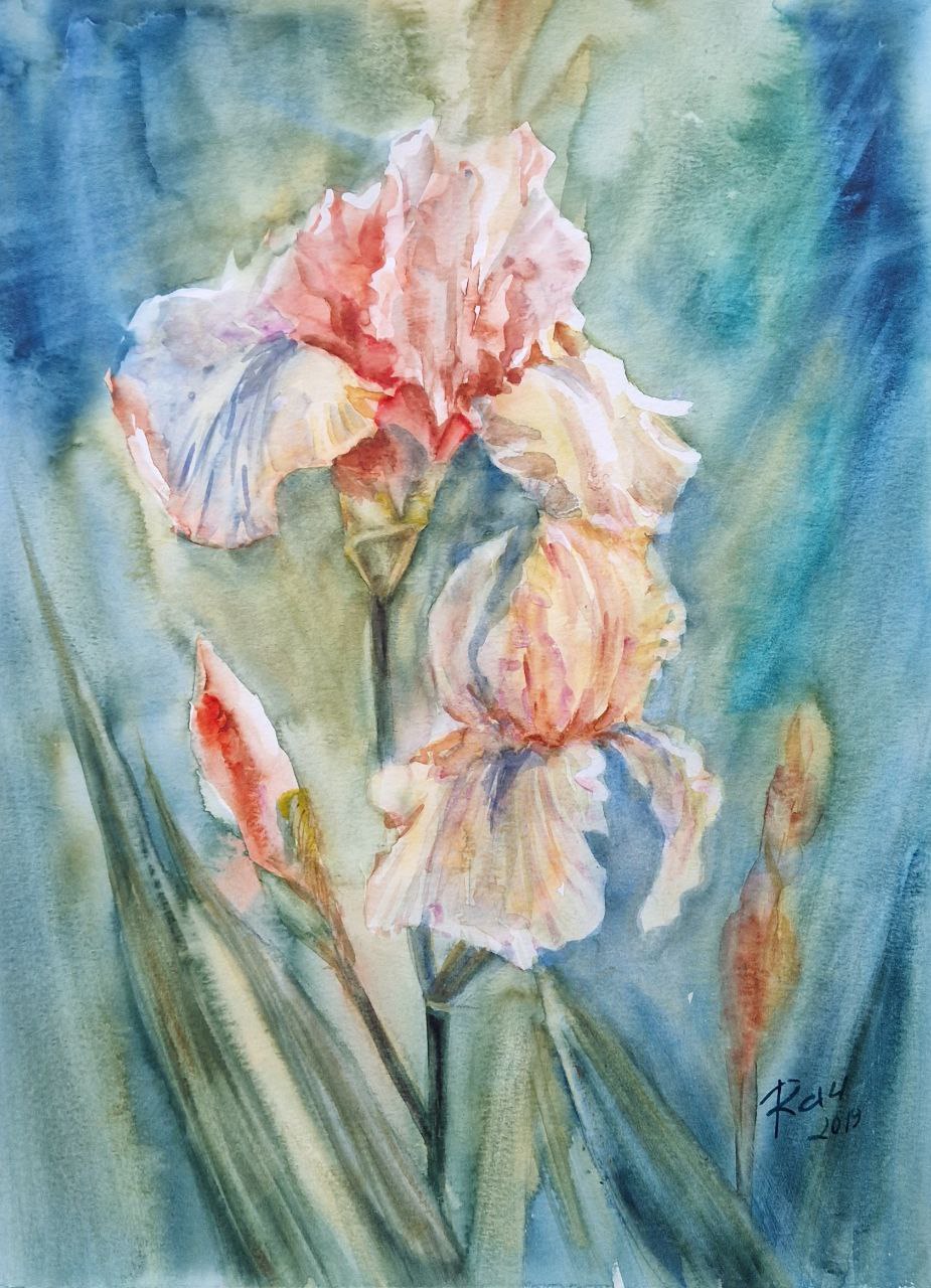 Iris._akvarel._30x40