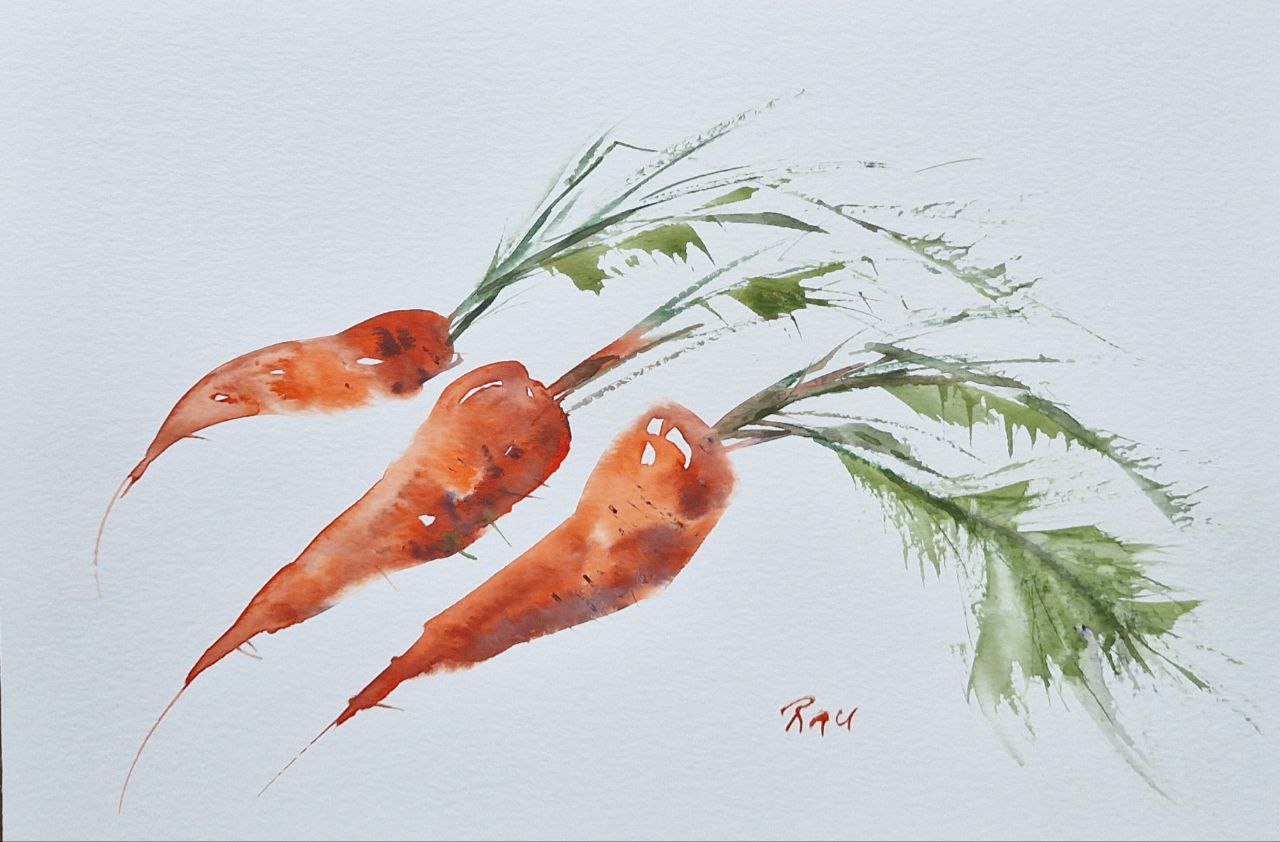 Mrkev._akvarel._20x30