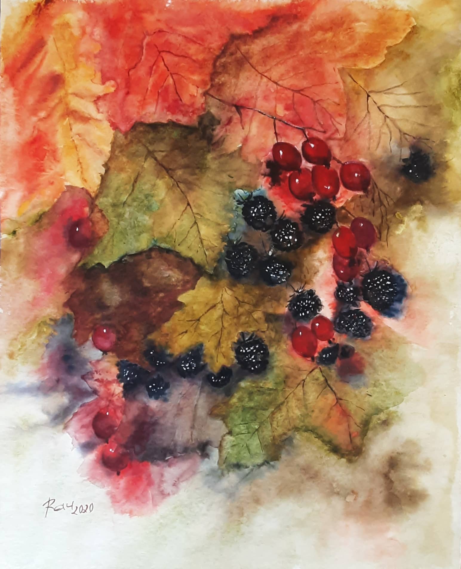 13_podzimn___puget_b_my69Q