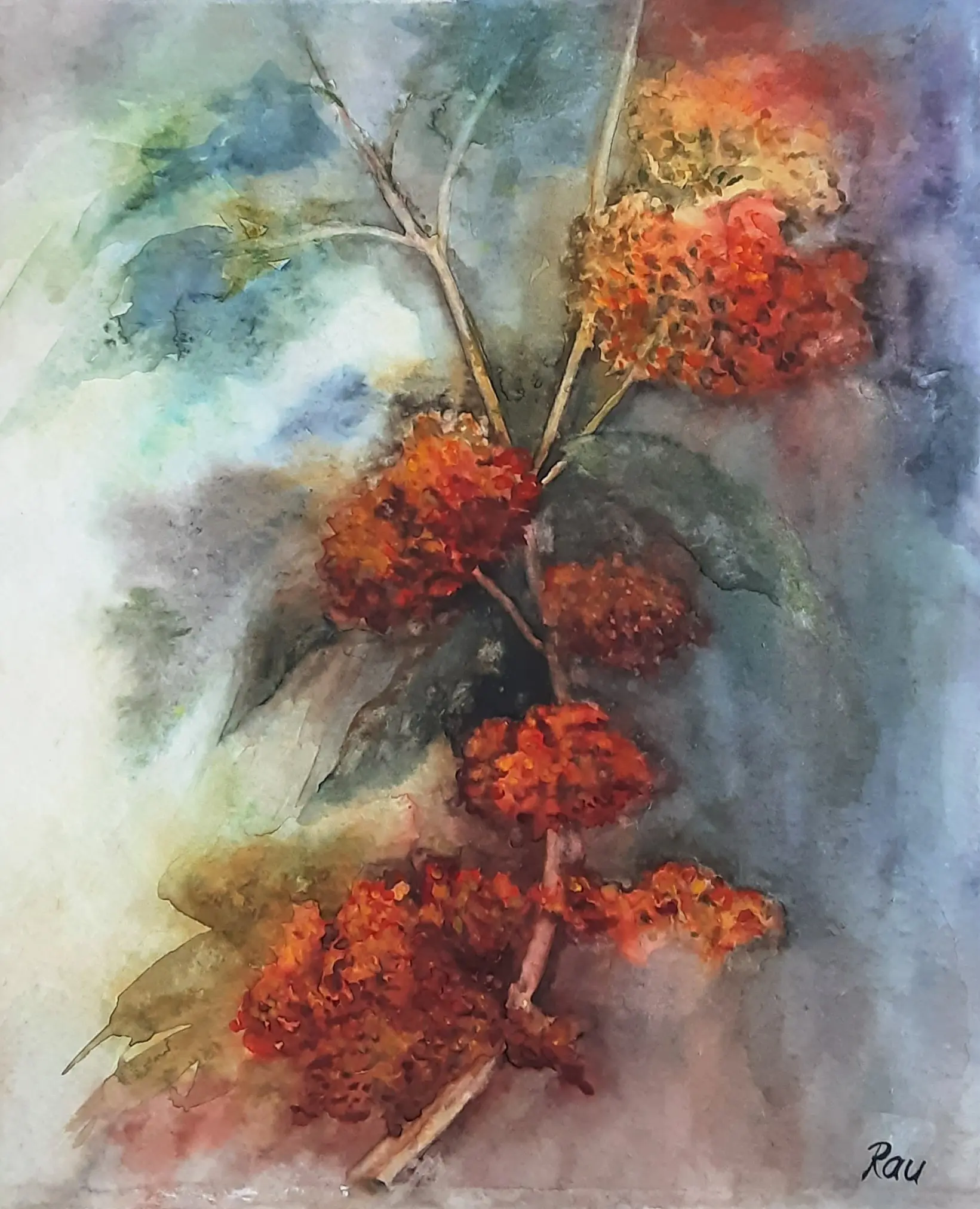 12.Jeřabina.32x39