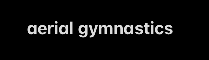 aerial_gymnastics_jpeg.png