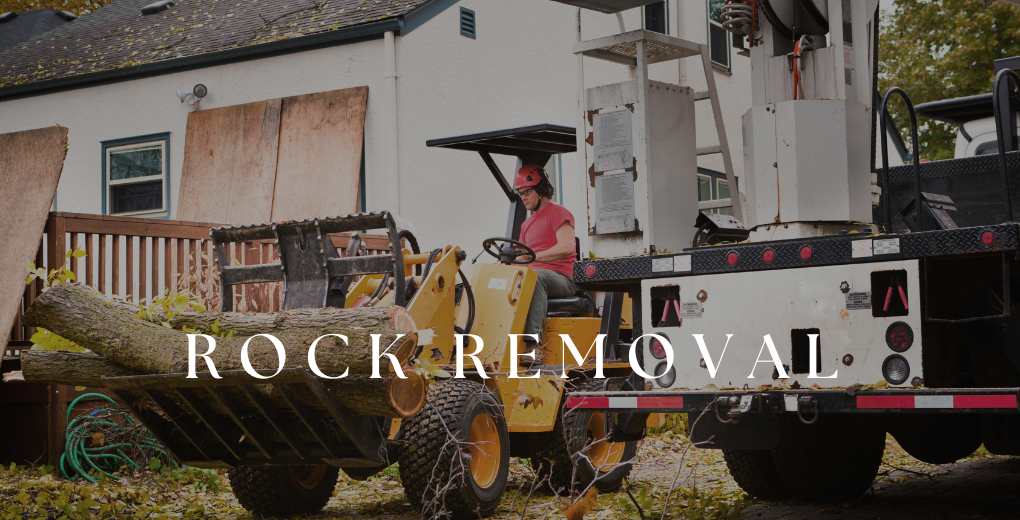 Rock_Removal