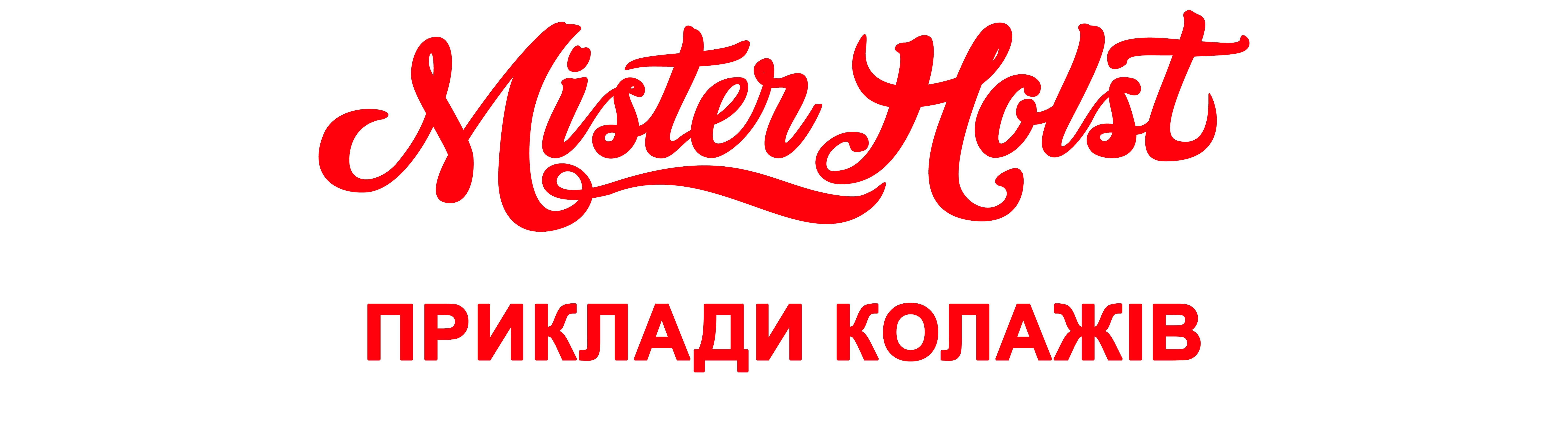 mister_logo_2024