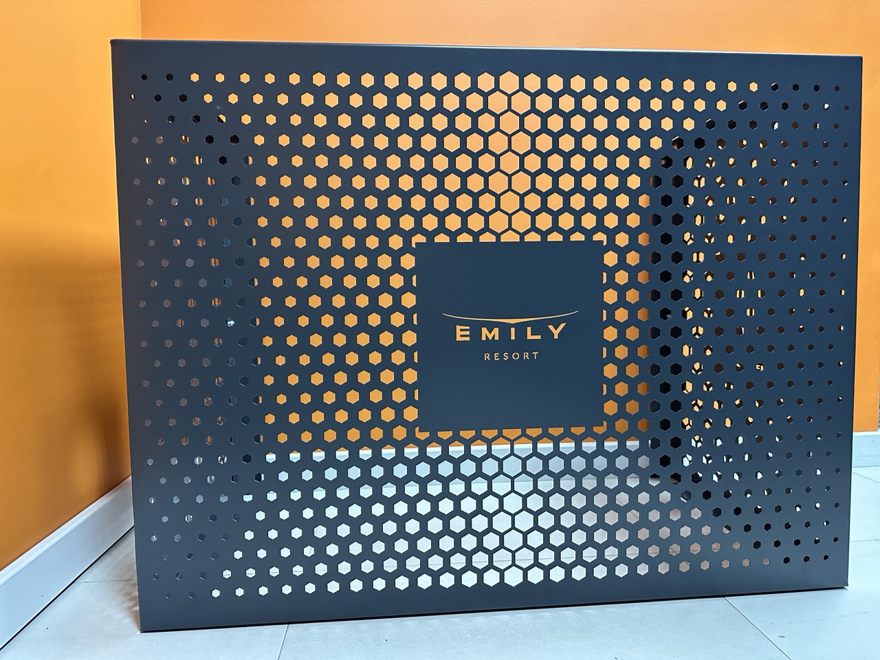 photo_2024-03-19_15-10-26