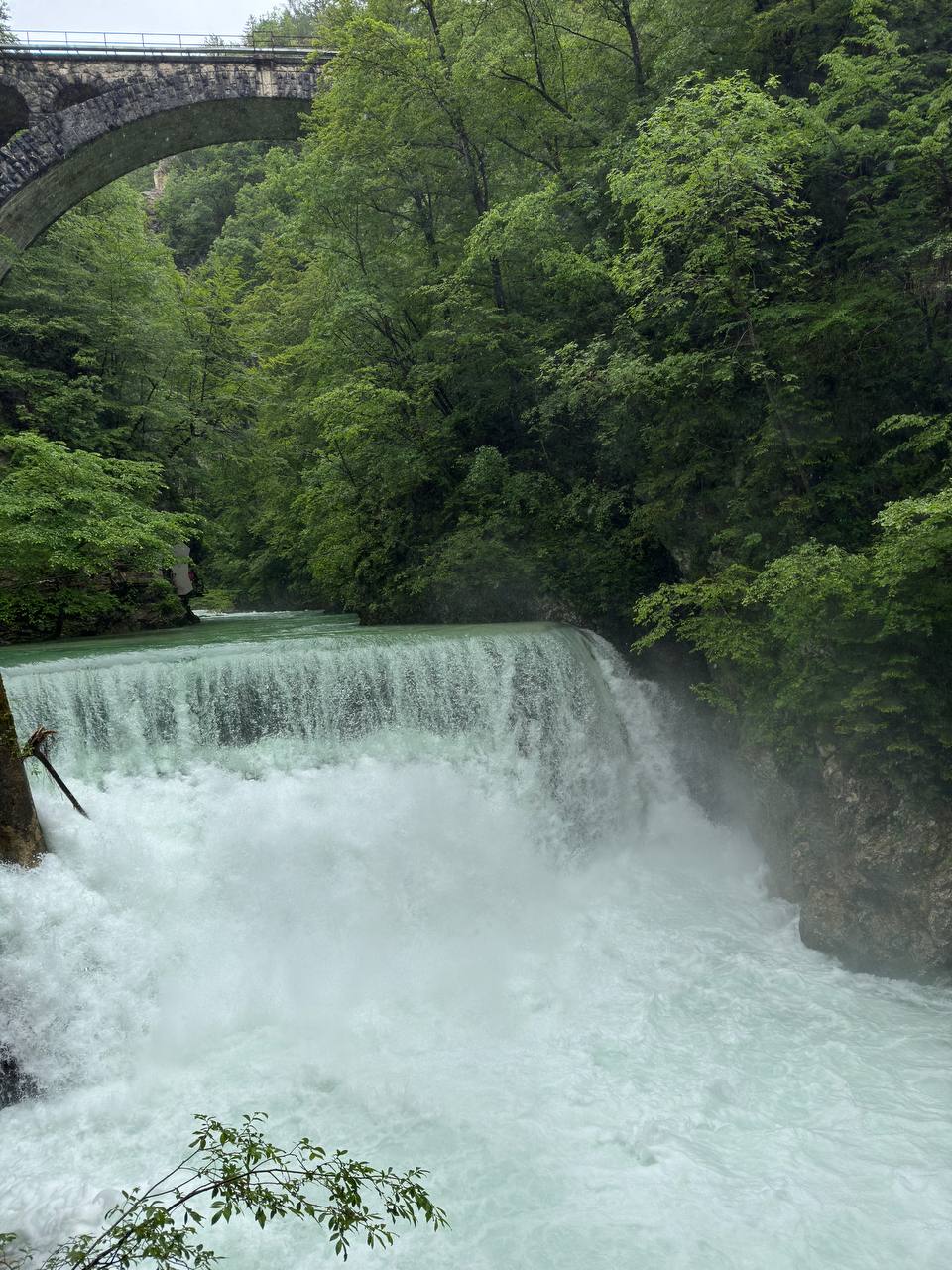 photo_2024-06-02_20-47-05