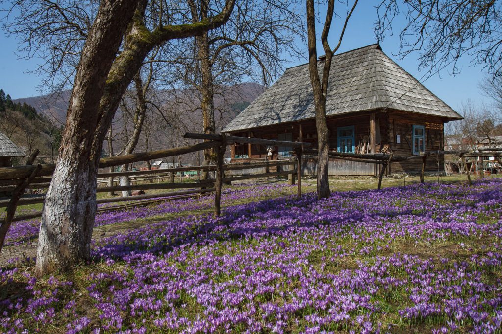 staroe-selo-2-1024x683