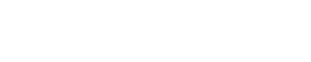 logo-unisaudems
