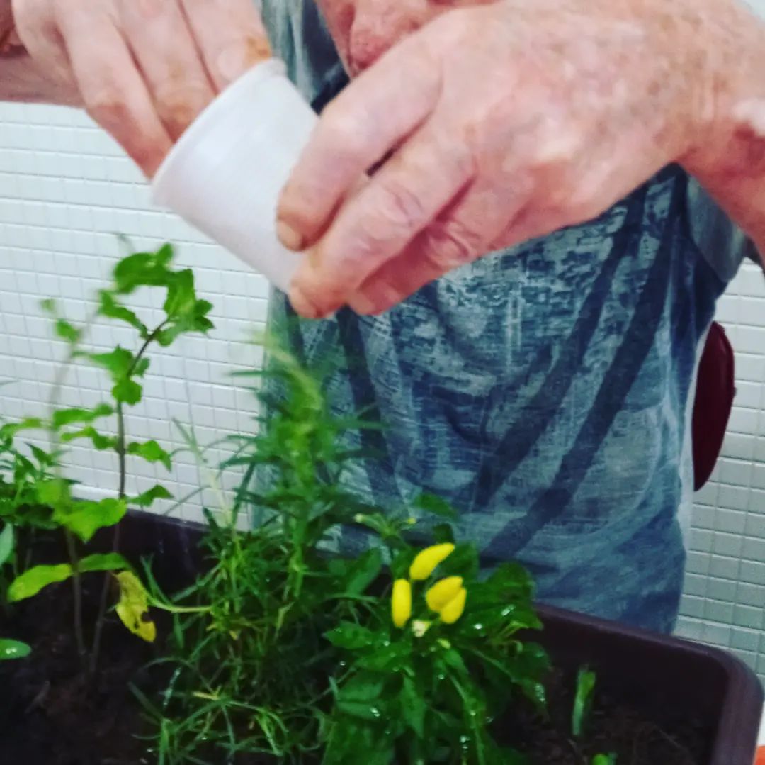 arteterapia em curitiba