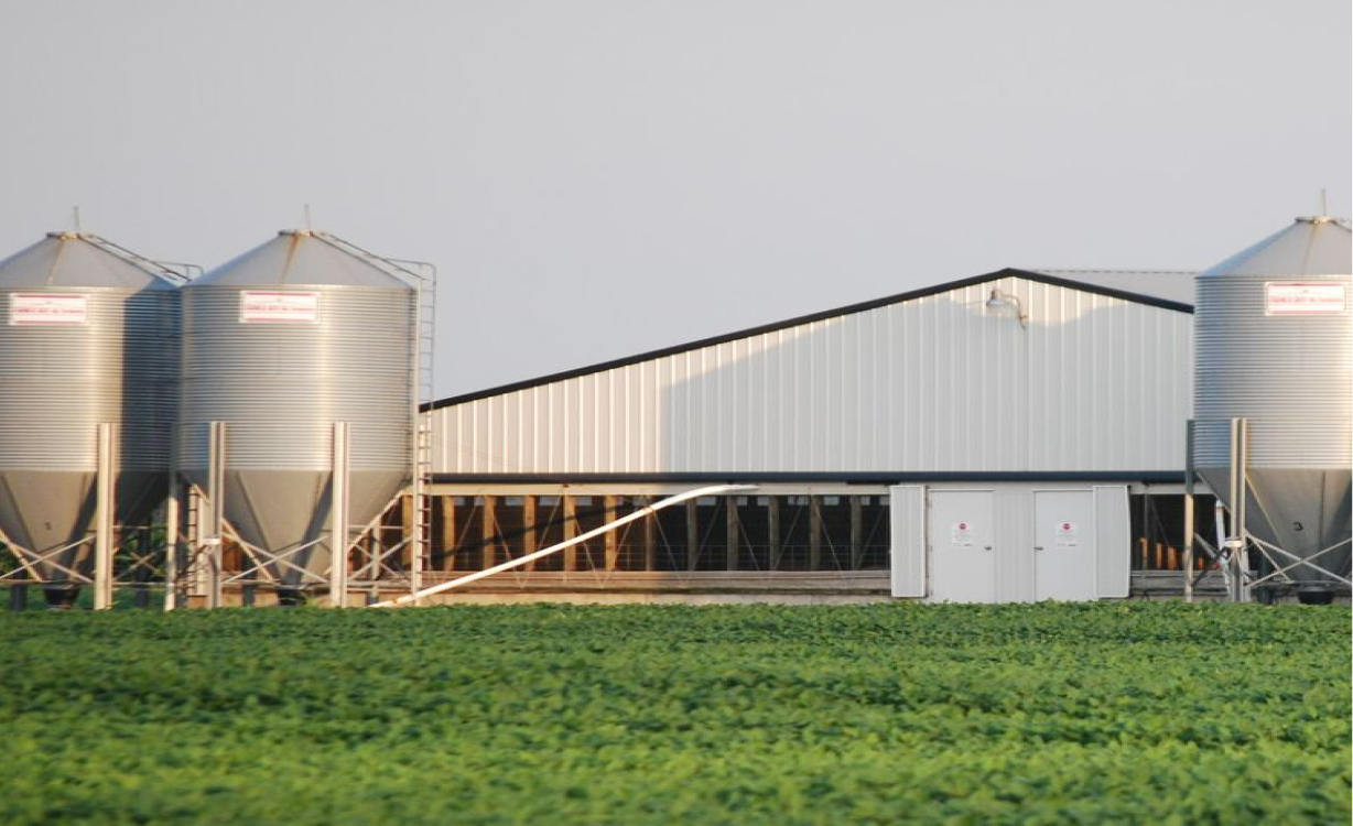 Farm
