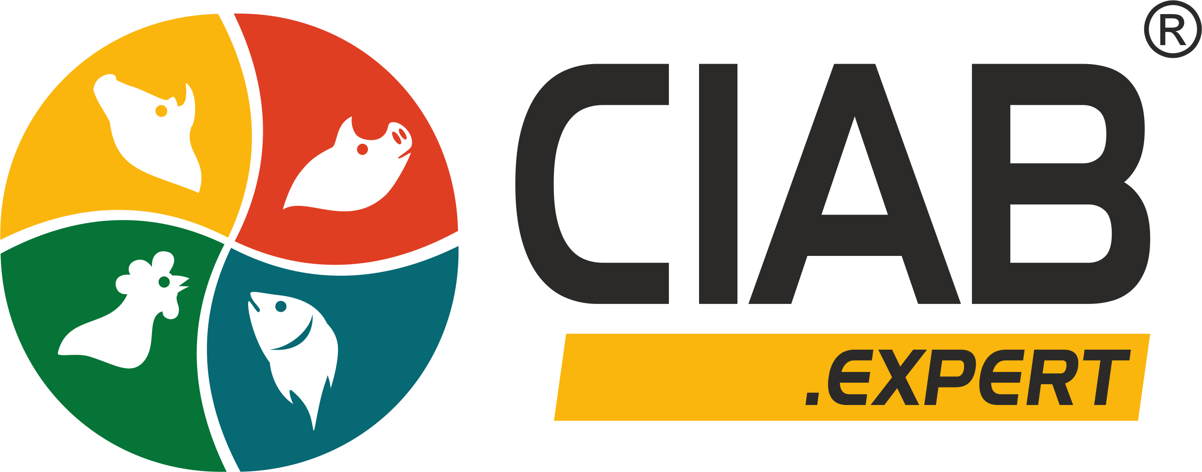 PNG_CIAB_Logotip_1