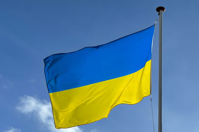 IMG_PigproductionUkraine-848x565