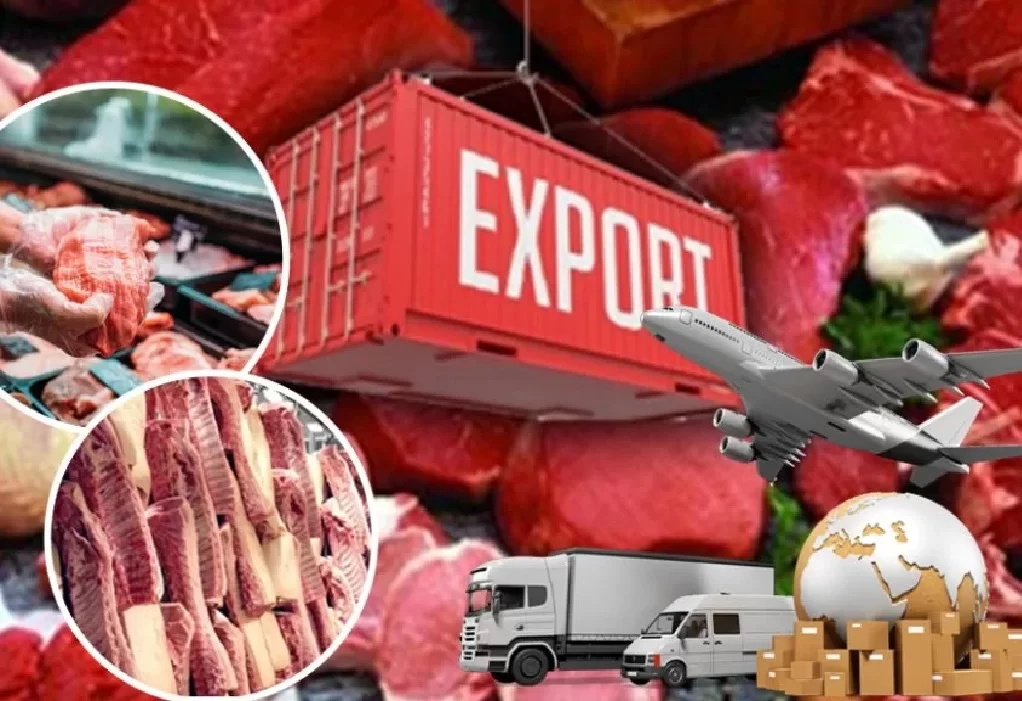 export