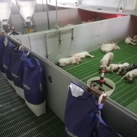 36661691_2125979114111088_3773122314200154112_o