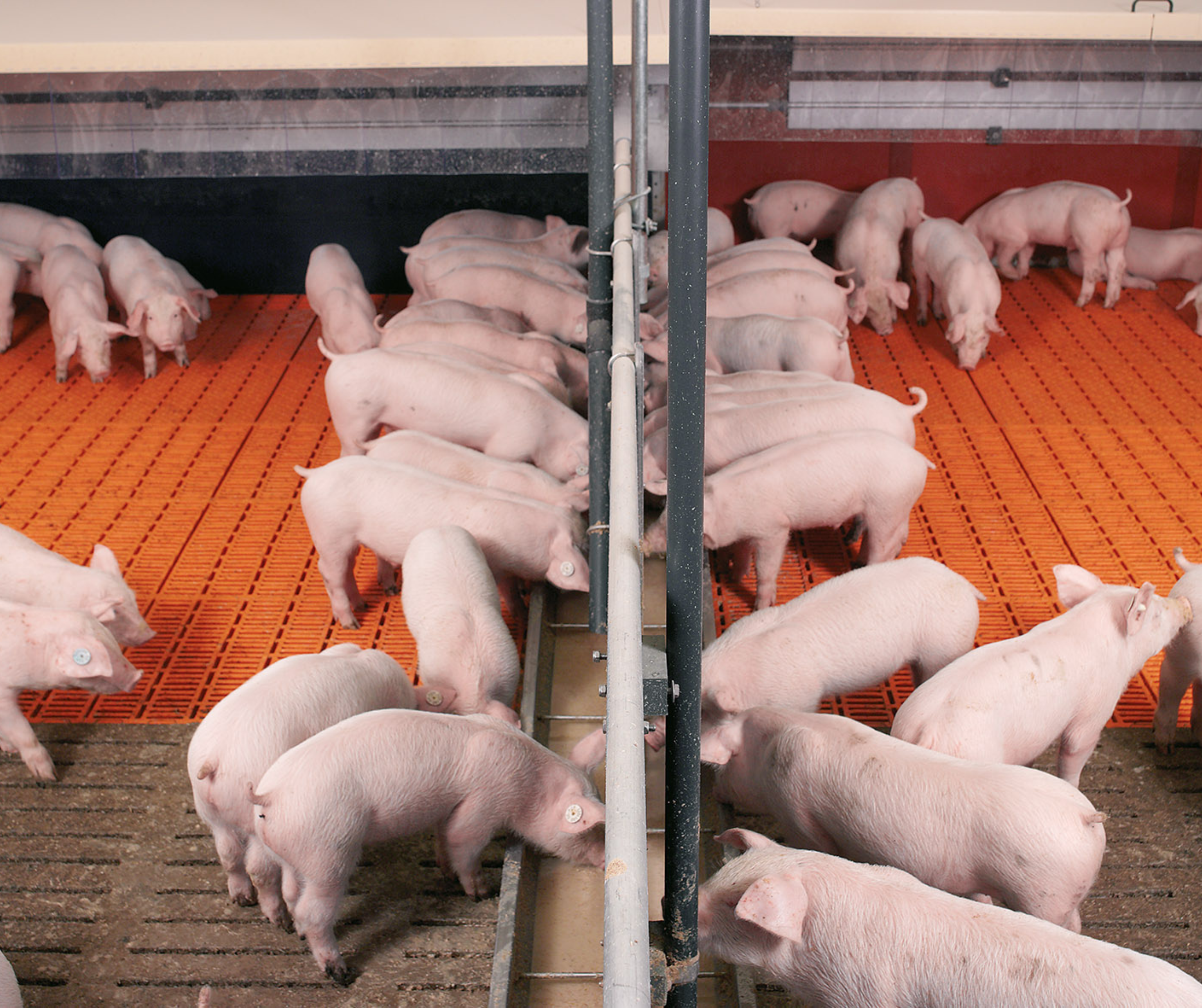 Zbirka_NS_MN_K_NG_AMG__ZSMi_td_1