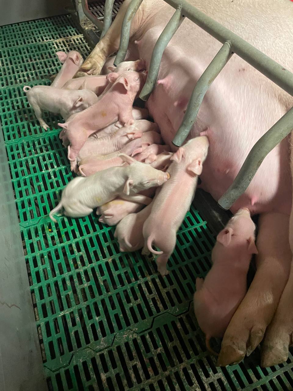 photo_2025-02-11_20-11-06