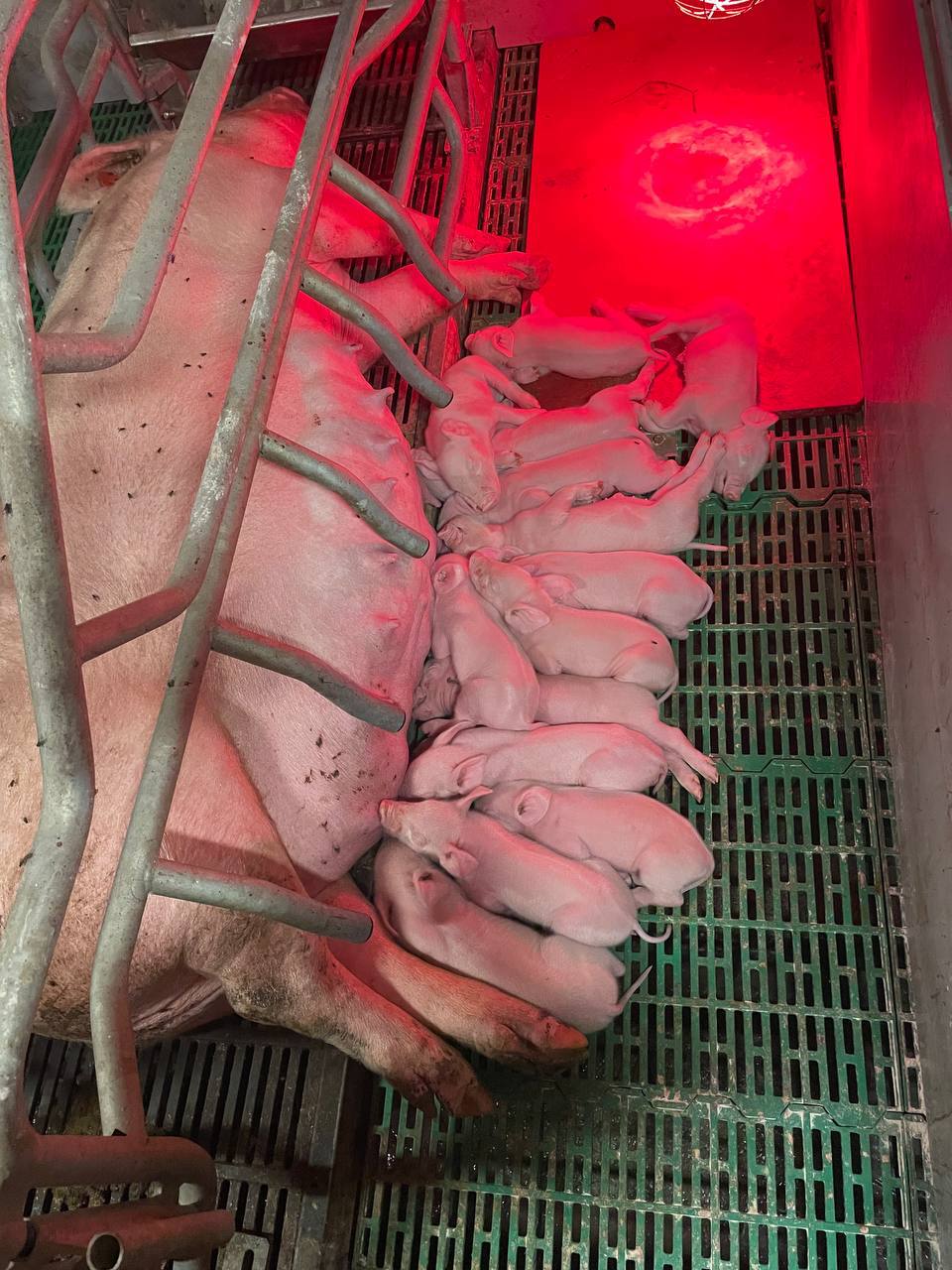 photo_2025-02-11_20-11-12