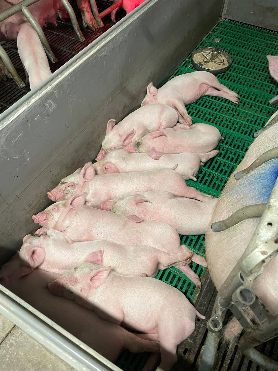 photo_2025-02-11_20-11-21