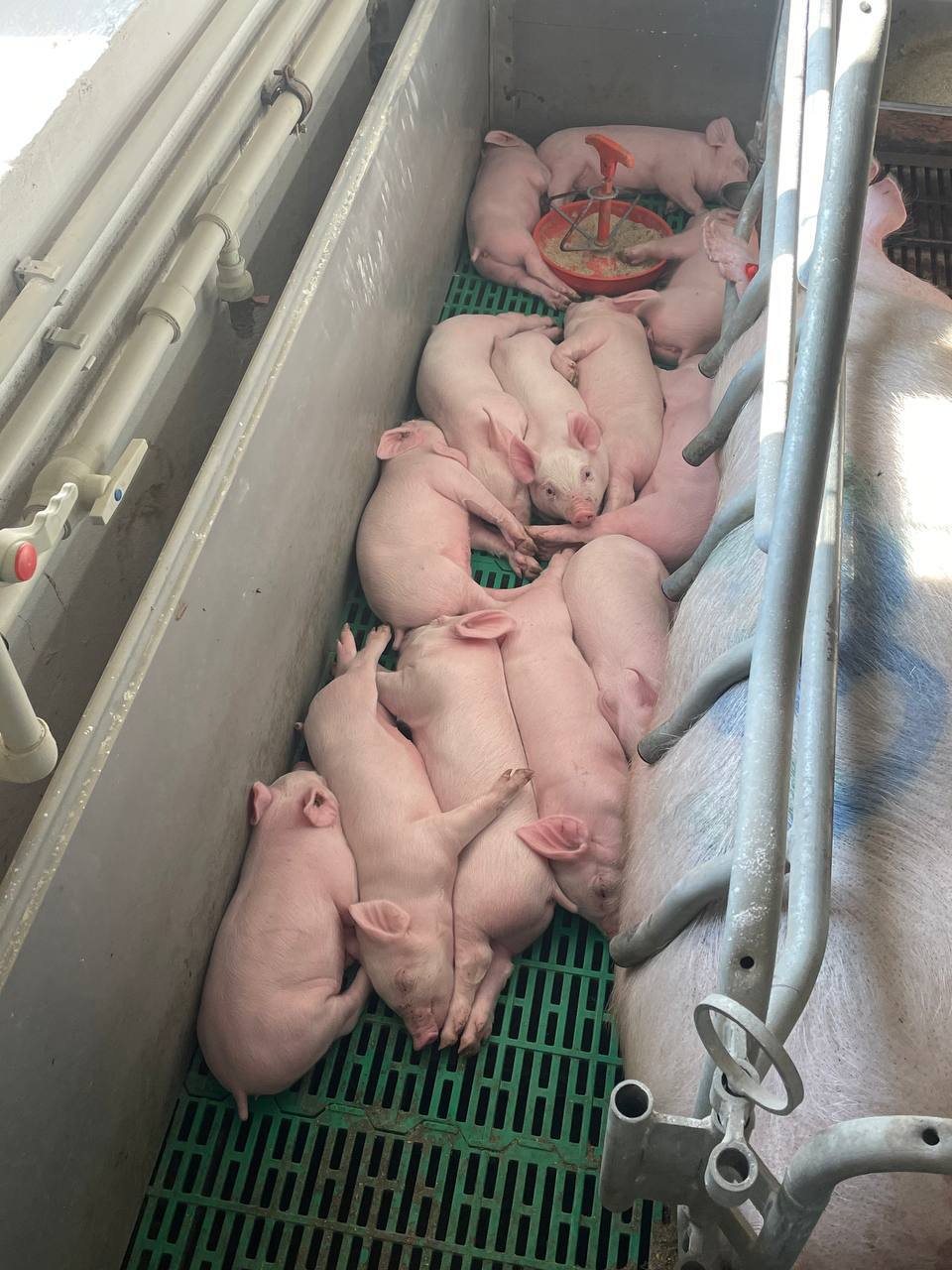 photo_2025-02-11_20-14-48