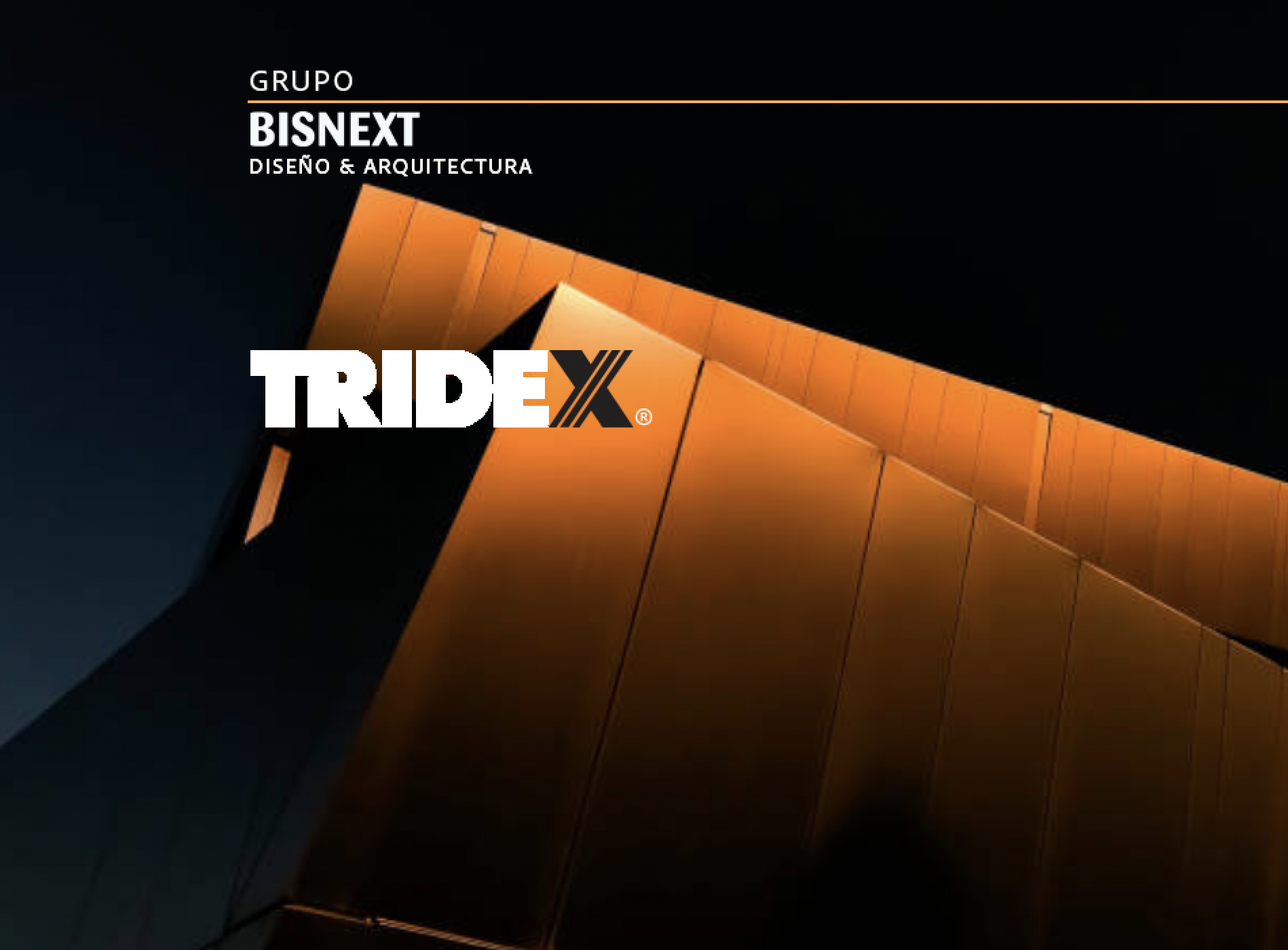 Bisnext-Tridex